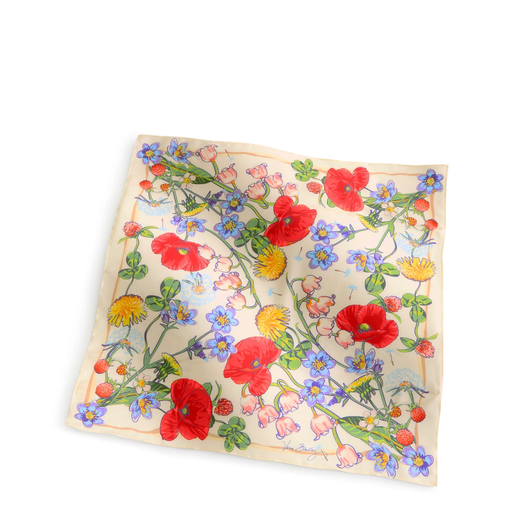 5058923444-V10.jpg