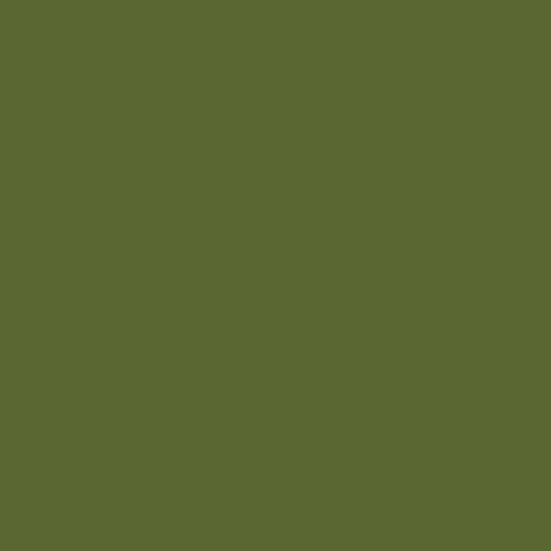 Santa Ynez Polarized Sunglass-Cedar Green-Image 5-Vera Bradley